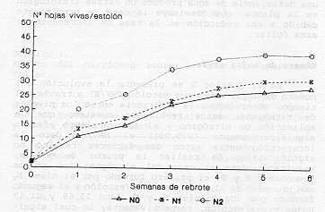 Grafico 2. Efecto del nitrgeno sobre el crecimiento foliar.