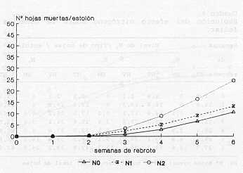 Grafico 3. Efecto del nitrgeno sobre la senescencia foliar.