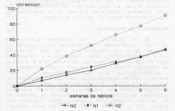 Grafico 5. Elongacin acumulada de estolones.