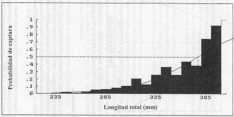 Figura 5. Probabilidad de captura de Lutjanus vivanus en islas de Blanquilla, nororiente de Venezuela. L8= 375 mm.