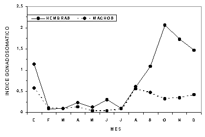 Figura 3. Variacin mensual del ndice gonadosomtico de Cynoscion jamaicensis, de la costa norte de la Pennsula de Paria