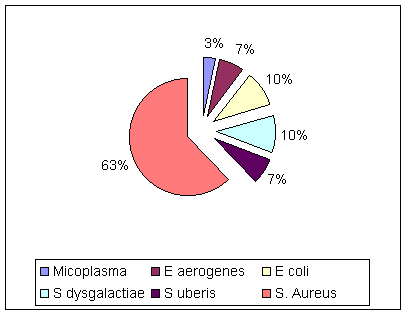 Figura 3. Aislados bacterianos causantes de mastitis en dos fincas en el estado Falcn