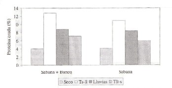 Figura 2. Contenido de protena cruda en diferentes perodos del ao en sabanas de baja fertilidad, utilizando bancos de energa