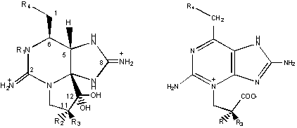 Figura 1. Estructuras (I) y productos de la reaccin de oxidacin (II) de las toxinas PSP. 