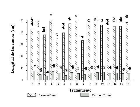 Figura 3. Efecto de la fertilizacin sobre la longitud de ramas de L. leucocephala. * Barras con el mismo relleno y con letras distintas, son diferentes estadsticamente (P<0,05). 