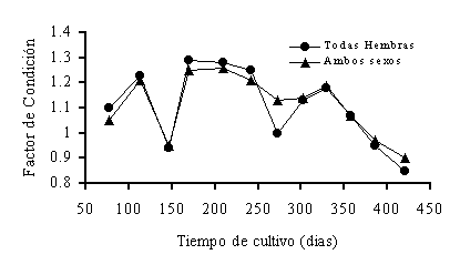 Figura 1. Factor de condicin (K) de las truchas todas hembras y de ambos sexos, en relacin al tiempo de cultivo.