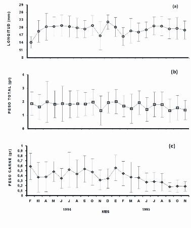 Figura 3. (a) Variacin mensual de la longitud anteroposterior (mm), (b) peso total (gr) y (c) peso de la carne (gr) (promedio  DE) de Donax denticulatus en la ensenada La Guardia (isla de Margarita), desde febrero 1994 hasta noviembre 1995.