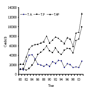 Figure1. Trends in the tuna catch of the Venezuelan fleet between 1980 and 2001. Total catches from Atlantic (TA) and Pacific (TP) Oceans, and both (TAP).