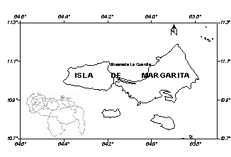Figura 1. rea de ubicacin de las estaciones de muestreo de Donax denticulatus en la ensenada La Guardia, isla de Margarita, Venezuela.