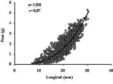 Figura 4. Relacin entre la longitud total (mm) y el peso total (gr) de Donax denticulatus en la ensenada La Guardia.