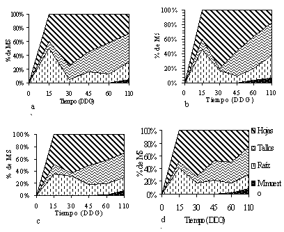 Figura 1. Distribucin de materia seca de los distintos rganos de la planta y la materia muerta producida en las lneas: a) 7984, b) 9438, c) 18477 y d) cv. Per.