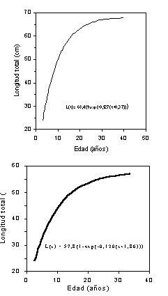 Figura 4. Curva de crecimiento en longitud de Plagioscion squamosissimus en el canal principal del Orinoco medio (A) y en la laguna Castillero (B), segn las frecuencias de talla. 