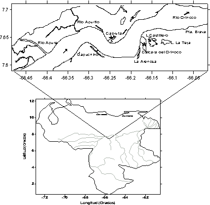 Figura 1. Zonas de muestreo de Plagioscion squamosissimus en el Orinoco medio de Venezuela.