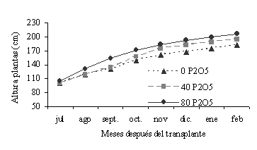 Figura 1.  Variacin de la altura de Albizia lebbeck entre los 7 y 14 meses de su transplante, en funcin de la aplicacin de tres dosis de fsforo.