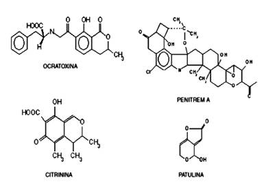 Figura 1. Estructura qumica algunas micotoxinas
