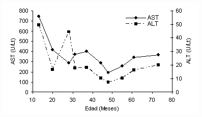 Figura 4. Actividad de las enzimas ALT y AST en adultos de diferentes edades (13, 20, 28, 31, 37, 44, 48, 55, 61 y 73 meses) de trucha arcoiris, en un criadero venezolano.