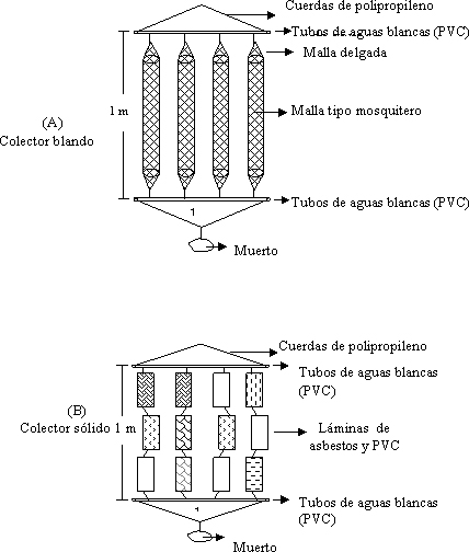 Figura 1. Tipos de colectores artificiales: A) blandos y (B) slidos, empleados para la captacin de semillas en la Ensenada de Turpialito, Golfo de Cariaco (Estado Sucre, Venezuela).