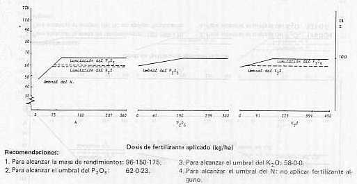 Fig. 10. Efecto de la aplicacin de N-P-K sobre el tonelaje de caa/ha y recomendaciones de fertilizantes en plantilla para el sector Sarare (Hda. Malagana), estado Lara.