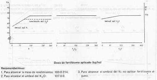 Fig. 11.Efecto de la aplicacin de N-P-K sobre el tonelaje de caa/ha y recomendaciones de fertilizantes en plantilla para el sector El Rodeo (Hda. Los Palmiches), estado Yaracuy.