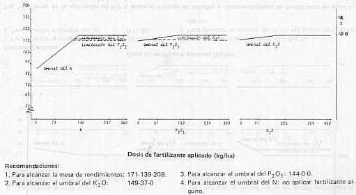 Fig. 13.Efecto de la aplicacin de N-P-K sobre el tonelaje de caa/ha y recomendaciones de fertilizantes en plantilla para el sector Cabudare (Hda. Agua Viva), estado Lara.