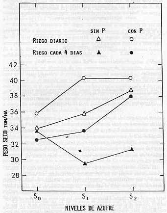 Figura 1.Efecto del azufre, el fsforo y la frecuencia de riego, en el peso seco de caa de azcar var. H 507209 (11 meses de edad). Experimento de campo en suelo salino regado con agua salobre. Los correspondientes valores de pH para los tres niveles de 5 fueron 6.6 (S0) , 5.6 (S1) y 4.7 (S2).