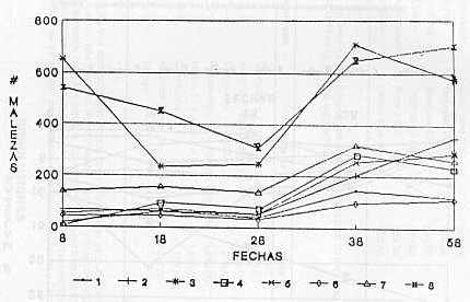 Fig. 3.Interaccin tratamiento por fecha para malezas de hoja ancha con respecto a preemergencia, en la finca Canaima.