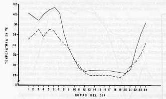 Fig. 2. Temperatura (C) registrada durante las 24 horas del da en la parte superior (-) e inferior (---) de la cmara de germinacin promedio de 21 observaciones consecutivas.