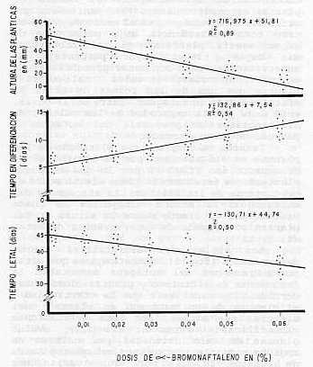 Fig. 1.Crecimiento de los callos, tiempo para el inicio de la diferenciacin y tiempo letal en relacin a las dosis de a-bromonaftaleno aplicadas.