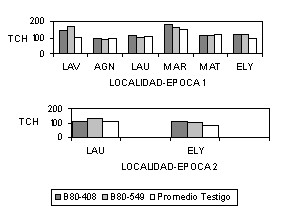Figura 1. Rendimiento en TCH para B80-408 y B80-549 en dos pocas de cosecha en seis localidades de Yaracuy y Lara, Venezuela.