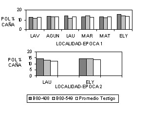 Figura 2. Rendimiento en Pol % Caa para B80-408 y B80-549 en dos pocas de cosecha en seis localidades de Yaracuy y Lara, Venezuela.