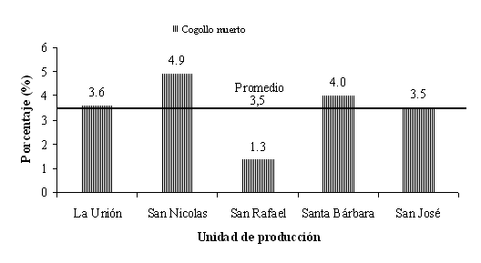 Figura 1. Determinacin del porcentaje de cogollo muerto, por unidad de produccin, en los valles de los ros Turbio y Yaracuy, 2003.