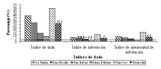 Figura 3. Determinacin de ndice de dao (ID), intensidad de infestacin (II) e ndice de intensidad de infestacin (III), a nivel de unidad de produccin, en los valles de los ros Turbio y Yaracuy. Semestre I, 2003. 