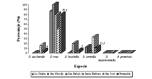 Figura 4. Distribucin porcentual de las especies del complejo taladrador a nivel de la zona de influencia y unidad de produccin, en los valles de los ros Turbio y Yaracuy. Semestre I, 2003. 