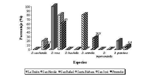 Figura 6. Distribucin porcentual de las especies del complejo taladrador a nivel de unidad de produccin y promedio en la zona de estudio, en los valles de los ros Turbio y Yaracuy. Semestre II, 2003. 